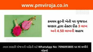Gujarat Dragon Fruit Farming Subsidy Yojana | કમલમ ફ્રૂટની ખેતી સહાય યોજના