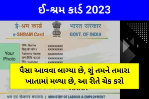 ઇ-લેબર કાર્ડ શું છે? (E Shram Card in Gujarati)