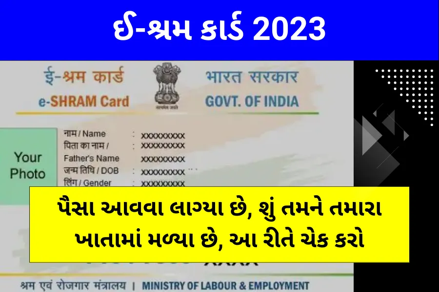 ઇ-લેબર કાર્ડ શું છે? (E Shram Card in Gujarati)