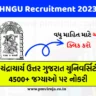 HNGU Bharti 2023 | હેમચંદ્રાચાર્ય ઉત્તર ગુજરાત યુનિવર્સિટી ભરતી