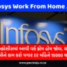 Infosys Work from Home Job (ઇન્ફોસિસ વર્ક ફ્રોમ હોમ જોબ)